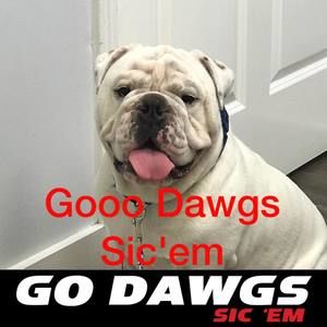 Meet your Posher, Randall